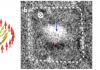 [POSITION FILLED] Post-doctoral position in spintronics on magnetic skyrmions