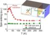 A generic probe for spin fluctuations in nanometer-scale films