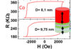 Post-doctoral - position perpendicular shape anisotropy