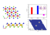 Very large Dzyaloshinskii-Moriya interaction and skyrmions in 2D Janus dichalcogenides