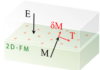 24 months postdoc position - 2D ferromagnets