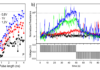 A new spintronic memristive component for neuromorphic circuits