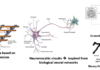 Assistant Professor position - Design of spintronic circuits for artificial intelligence