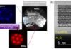 One year post-doctoral position: short-loop approach for MBE-grown FCGT 2D materials studied by ARPES microscopy (SPINTEC/LETI)