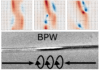 Topological analysis and experimental control of DW transformations in cylindrical wires